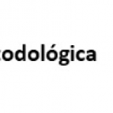 Nota metodológica
Novo documento - Infografia